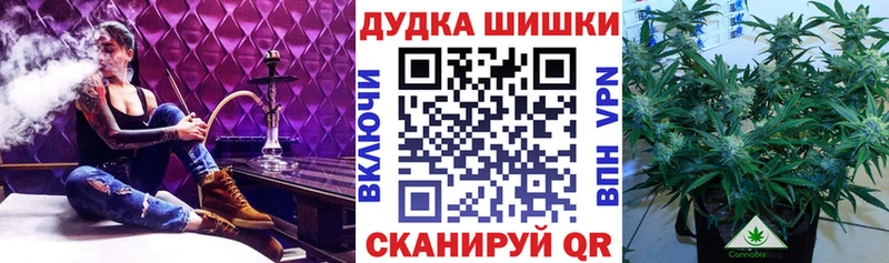 МАРИХУАНА Amnesia  Сальск 